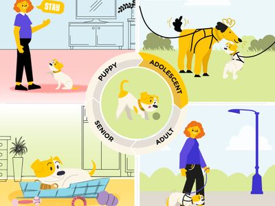 The Teenage Phase: Understanding Your Adolescent Dog